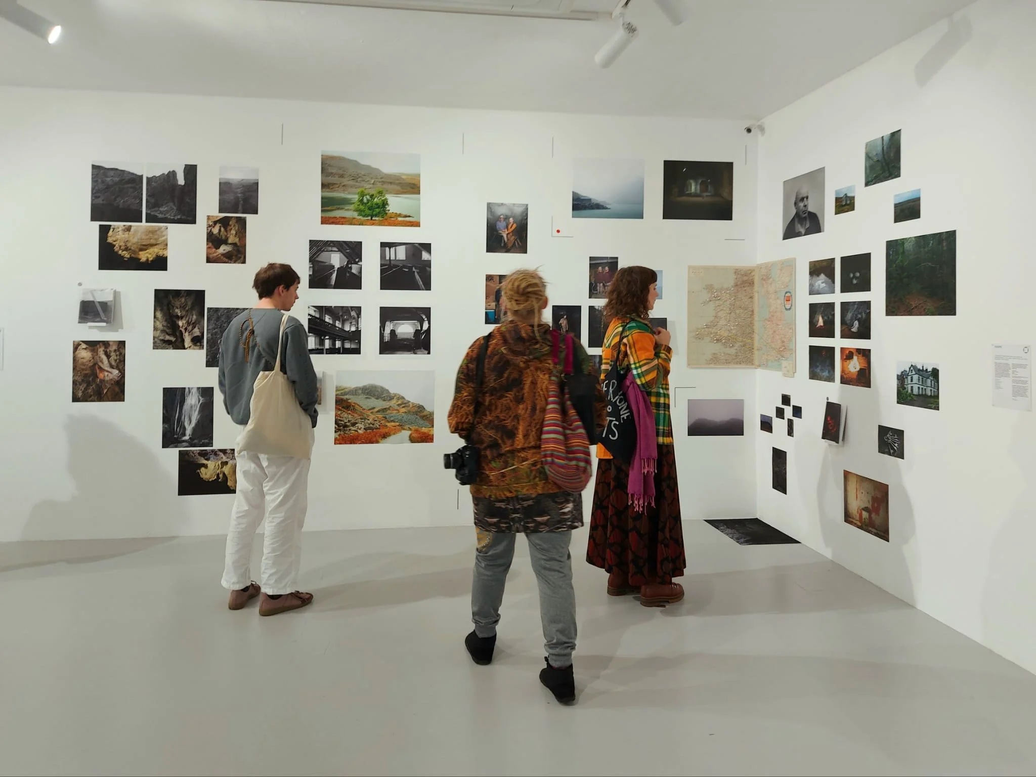 Phoenix Gallery, Brighton