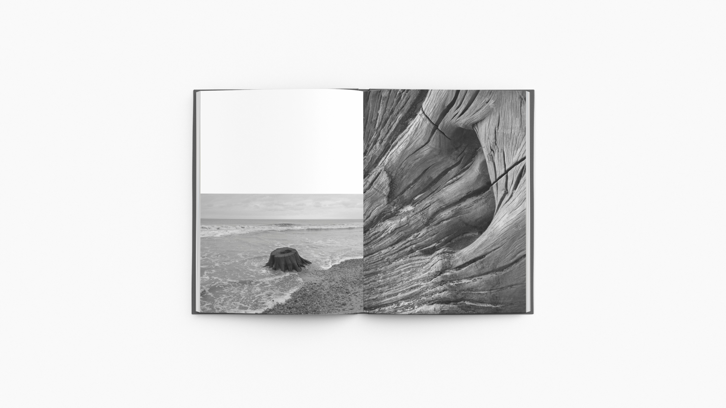 open-book-mockup-featuring-a-minimal-setting-2434-el1 (34).png