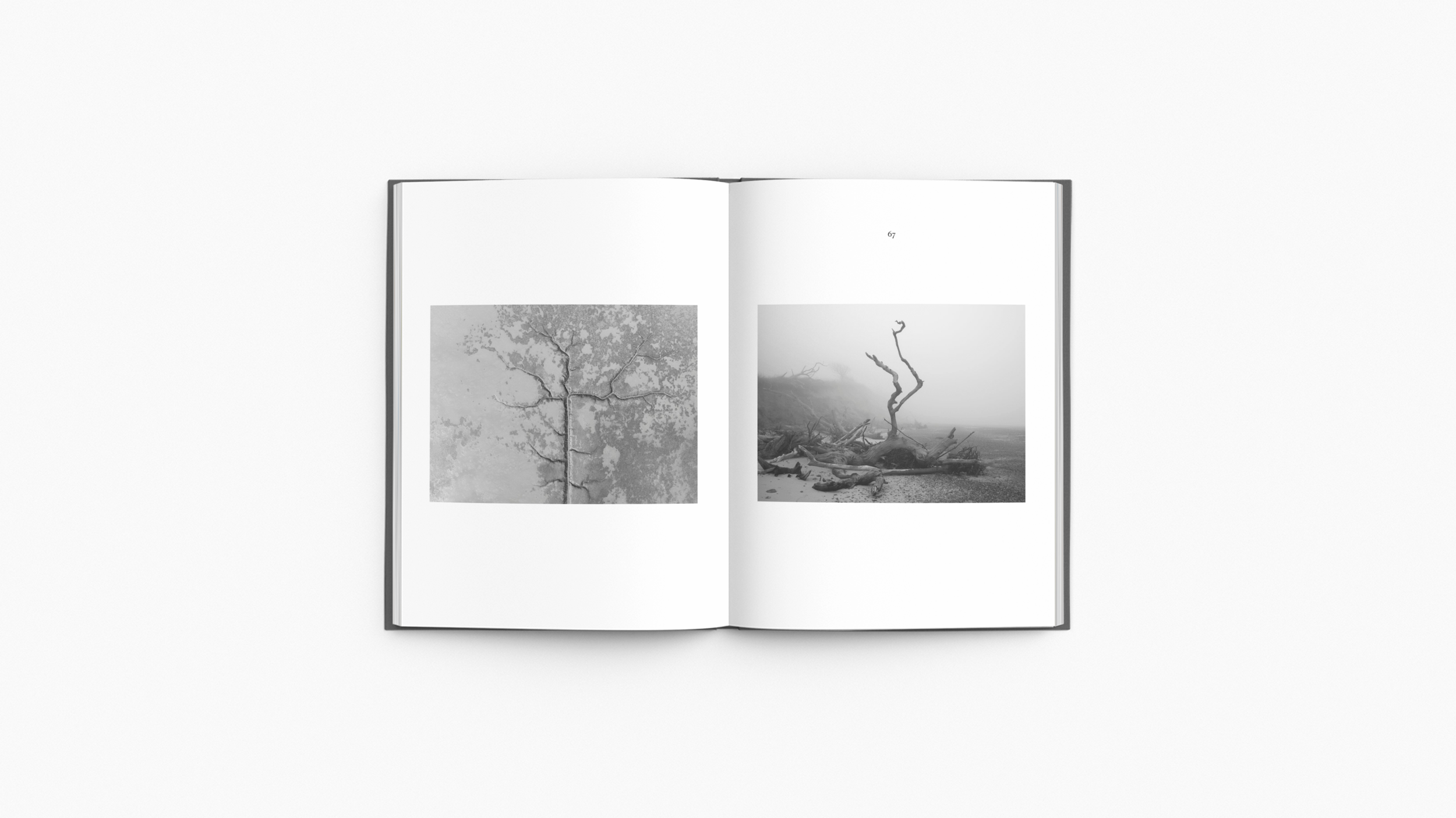 open-book-mockup-featuring-a-minimal-setting-2434-el1 (33).png