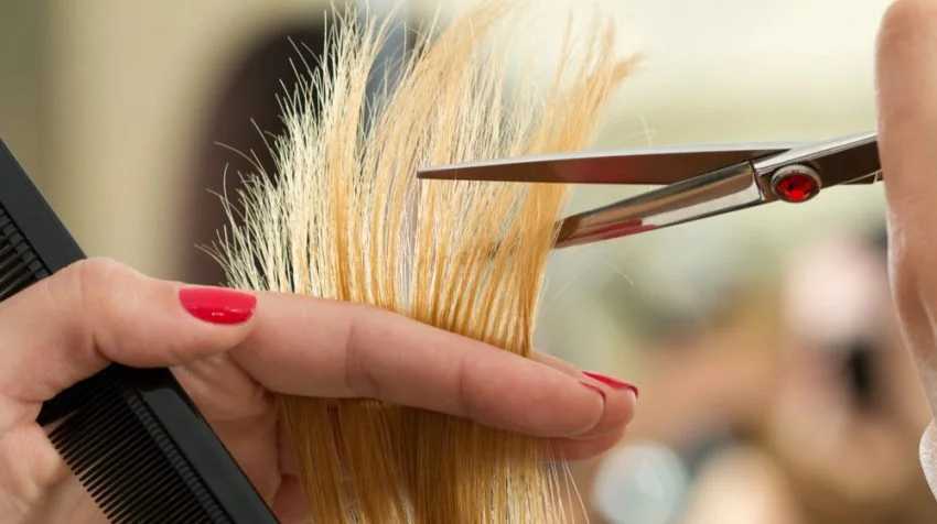 “when you say a trim, you mean TRIM!”