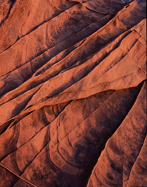  Firefins - Isle of Arran 