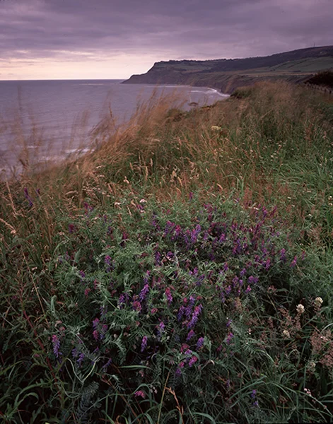 Robin Hood's Bay - North Yorkshire