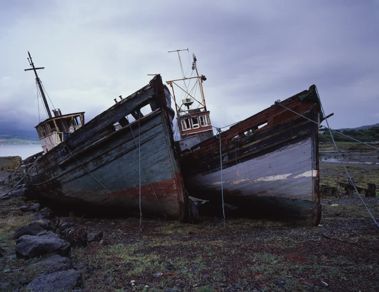 Old Friends - Isle of Mull