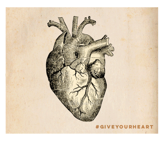 Heart04.gif