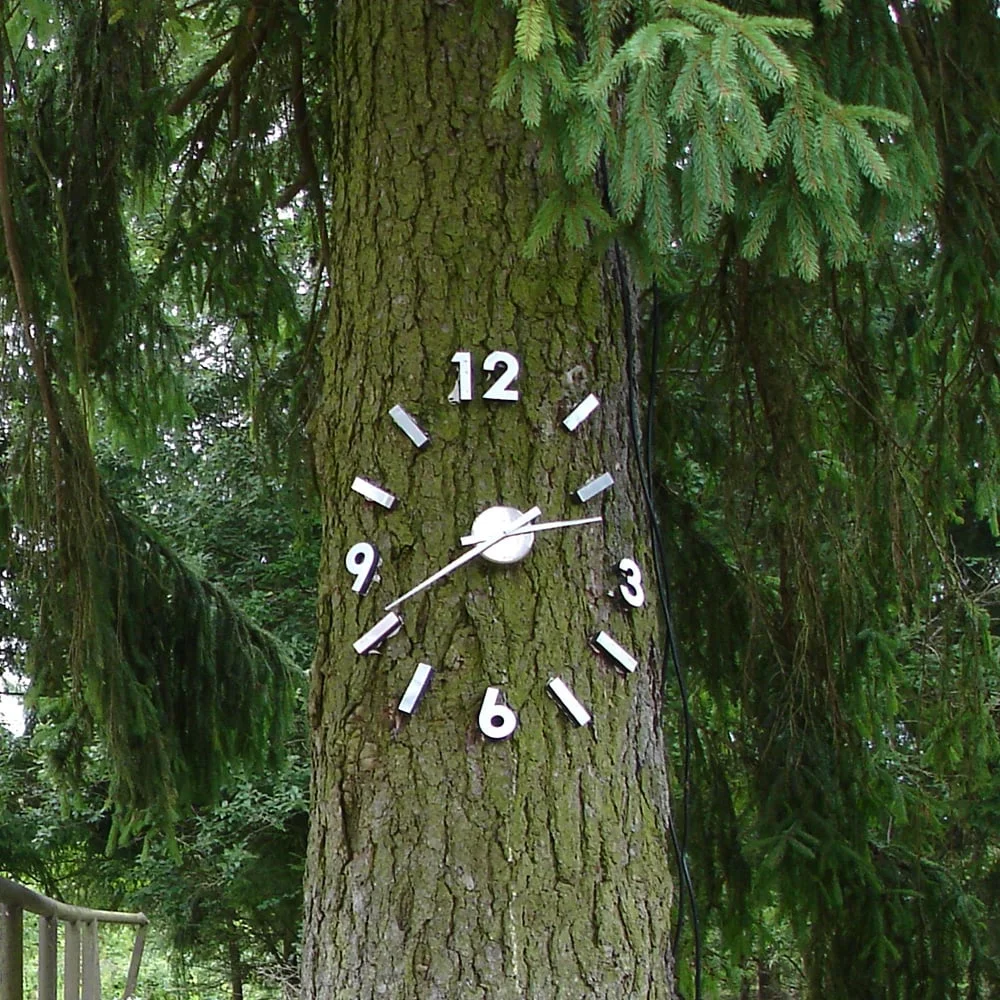 svk_tree-clock.jpg