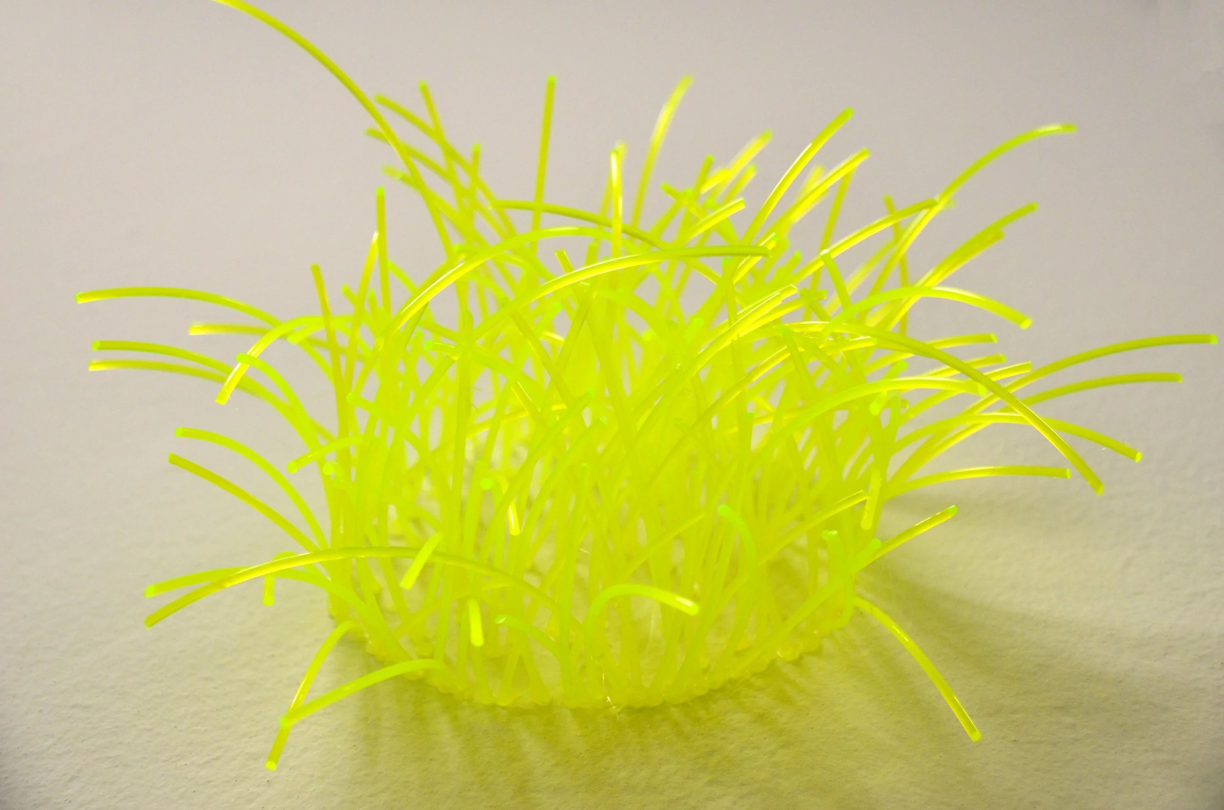 detalle dendrita1.jpg