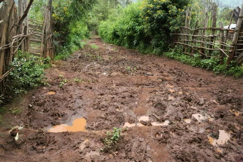 The road that Gobena walks on to collect water from the river. Image by WaterAid/Behailu Shiferaw