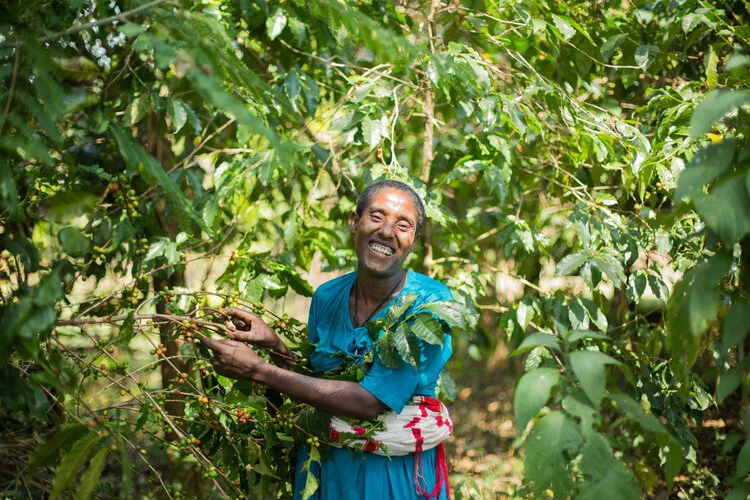 Ethiopia+-+Jabi+Tehnan+-+WaterAid+(2).jpg