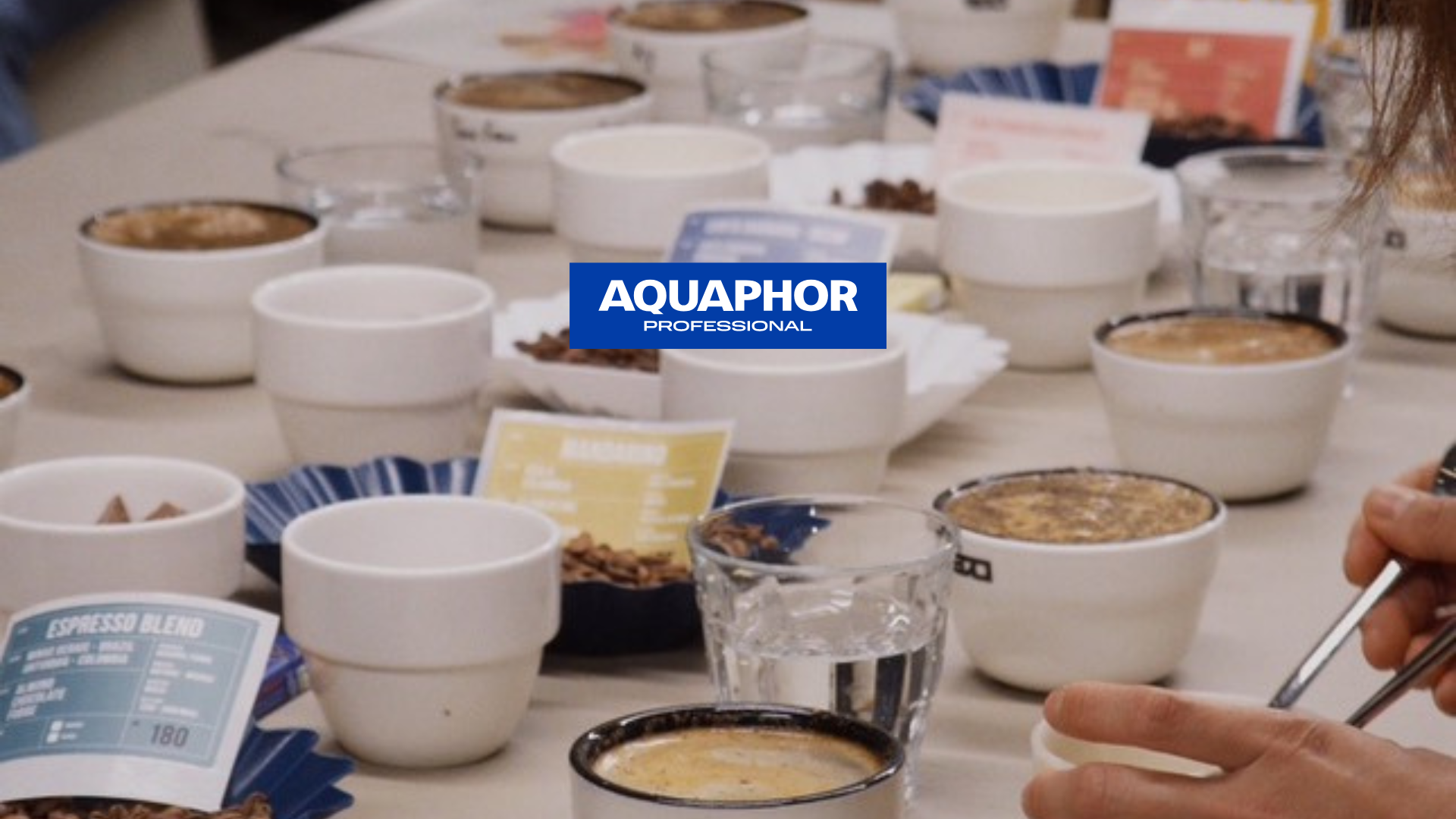 Water in Coffee Panel Discussion