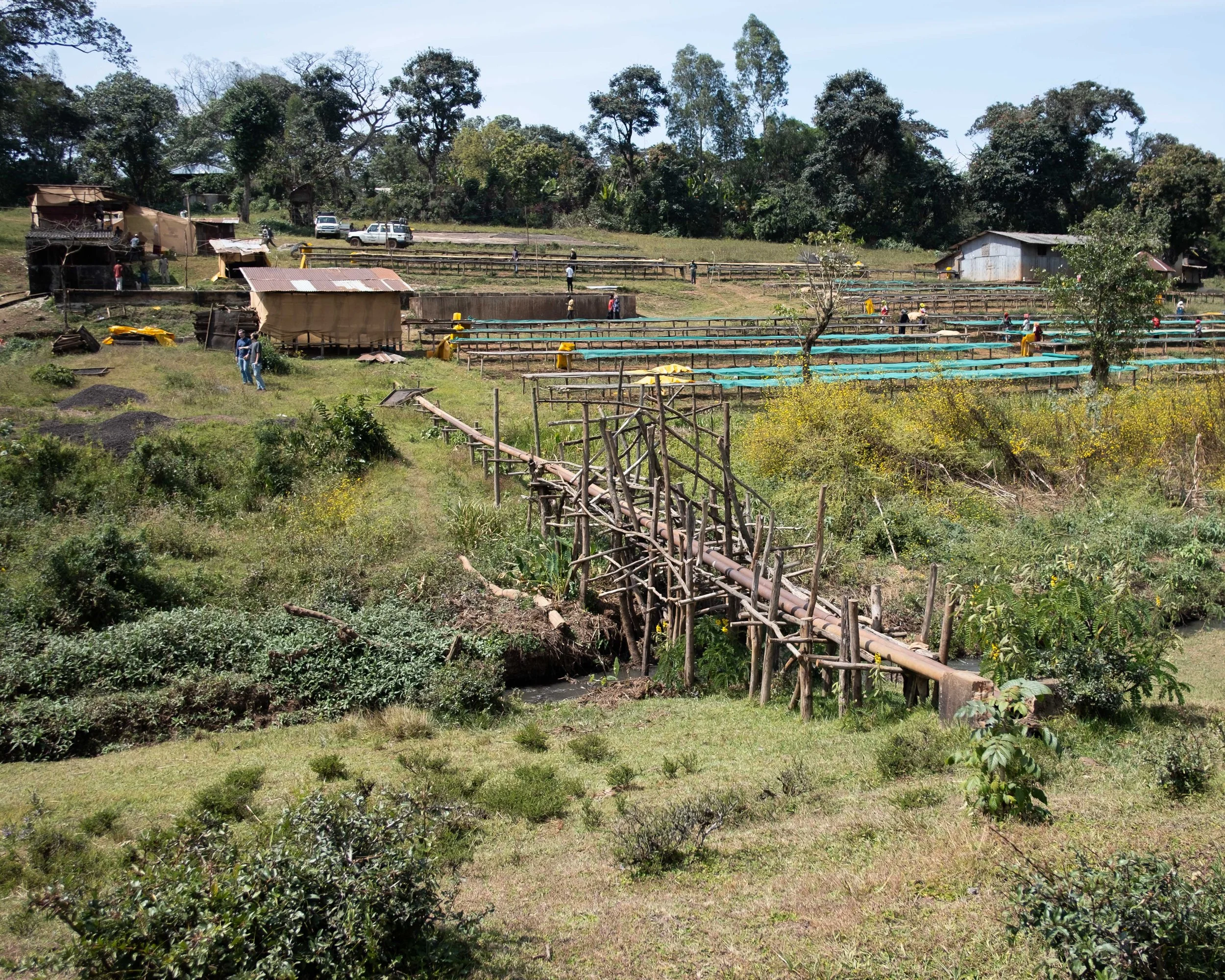 From Wastewater to Safe water: Inside the Oromia Coffee Project