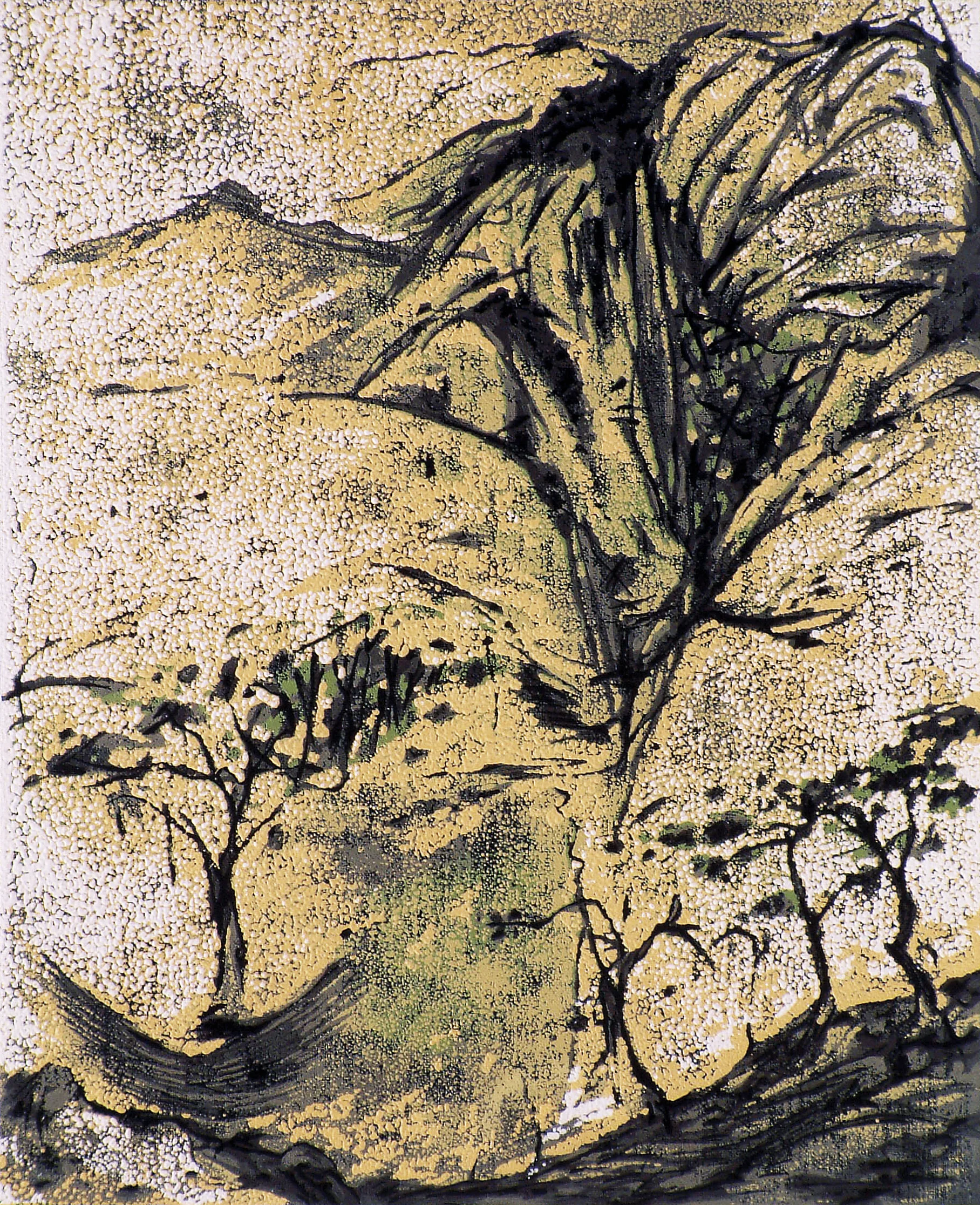 Crisp Cold Day in a Mountain Forest I