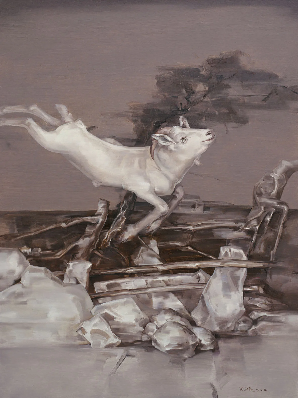 Mountain Goat VIII
