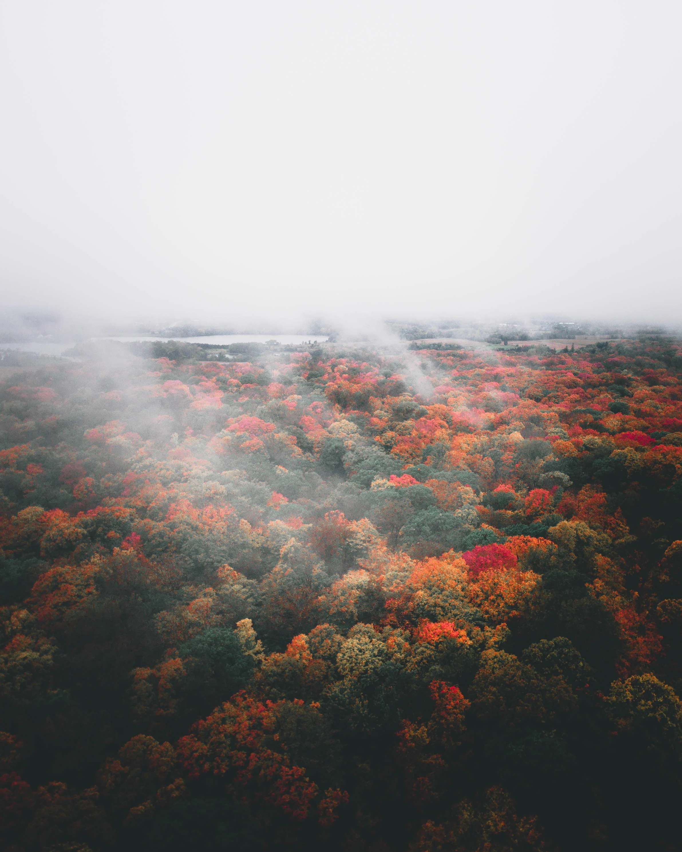 unnamed (5).jpg