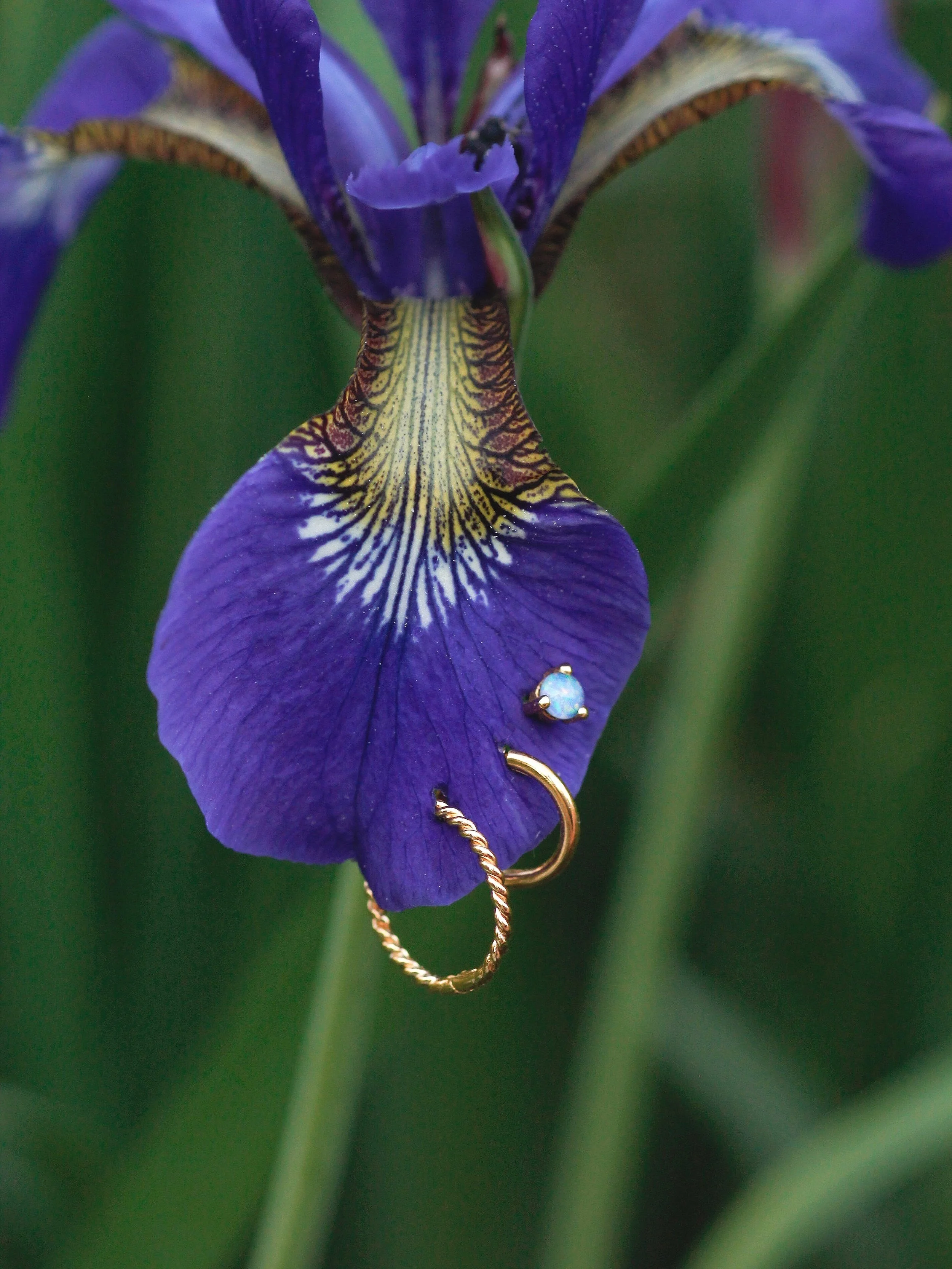 Twisted pearl stud — LAURE DE MEES