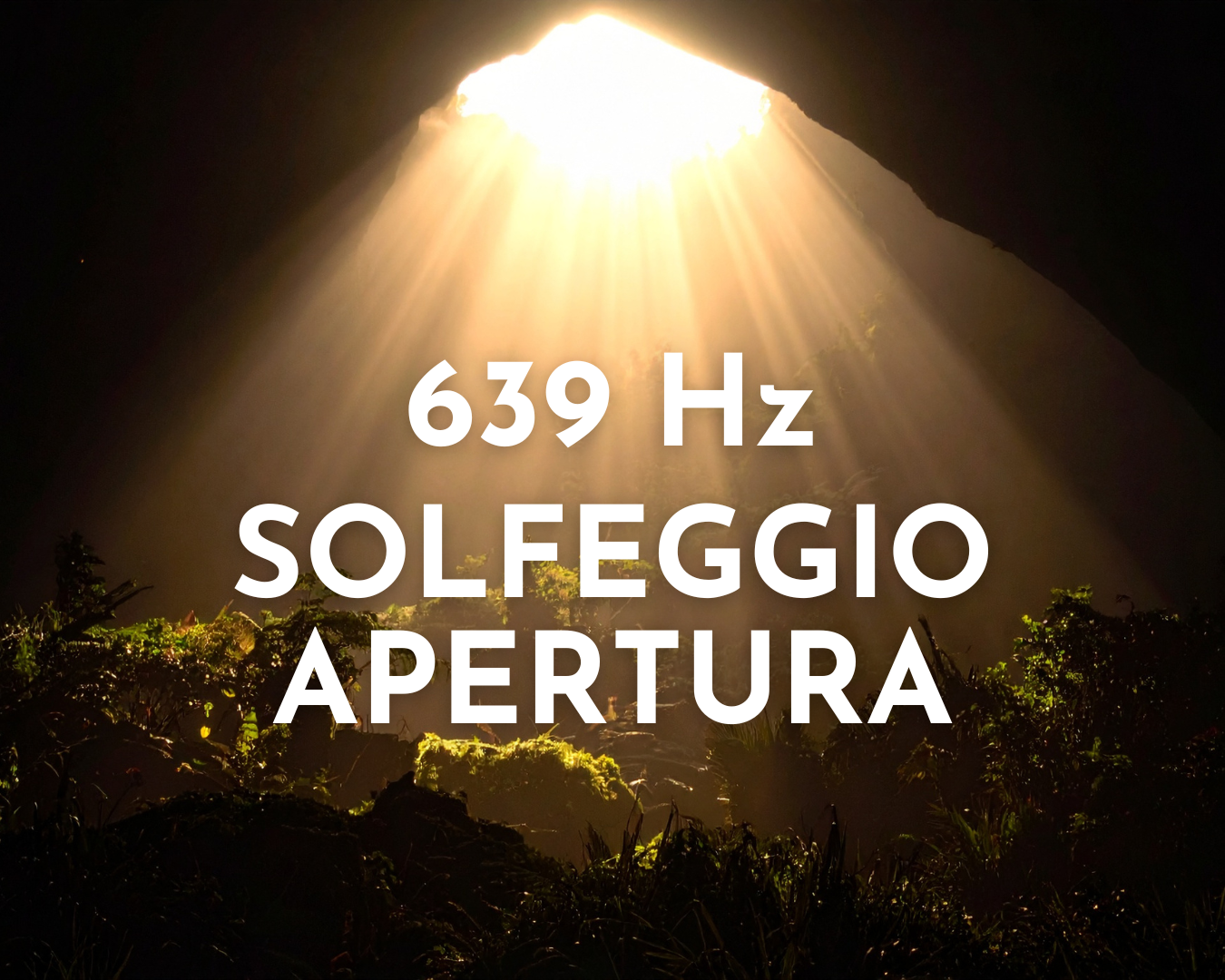 639 HZ Harmonic- Apertura e Connessione nei rapporti umani 06:58