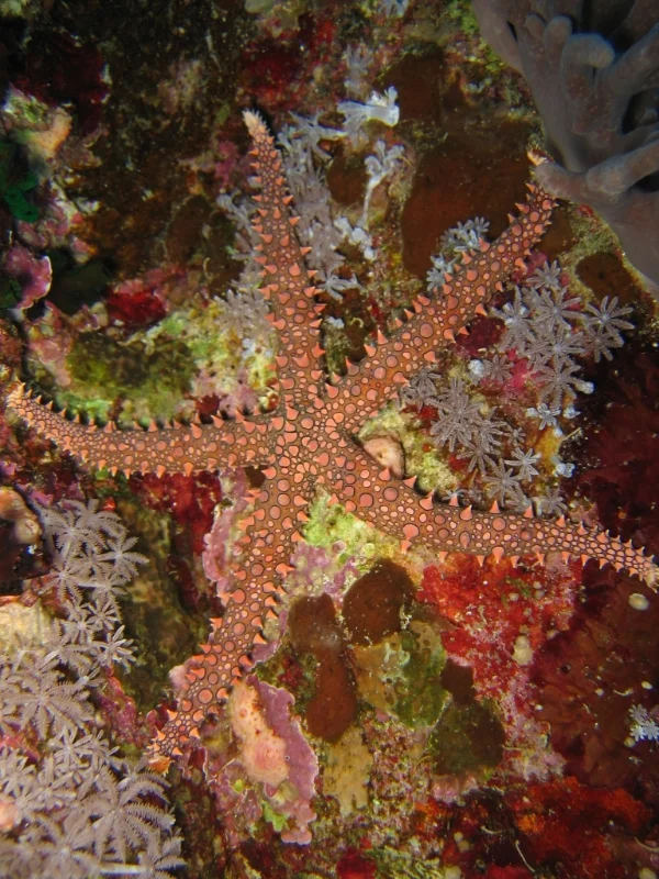  5 Ottimi Motivi Per Galleggiare Al Più Presto