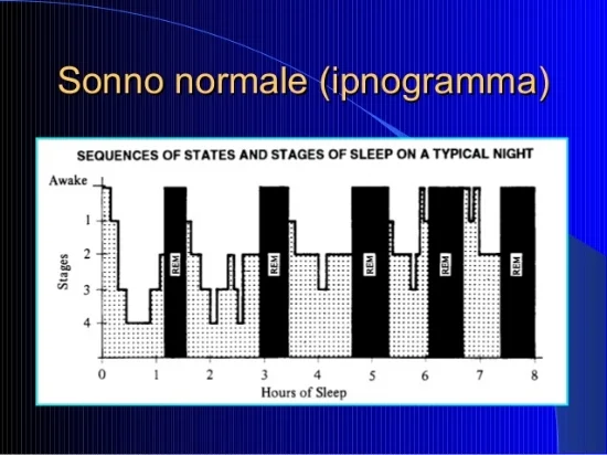 Cicli Sonno Normale.jpg