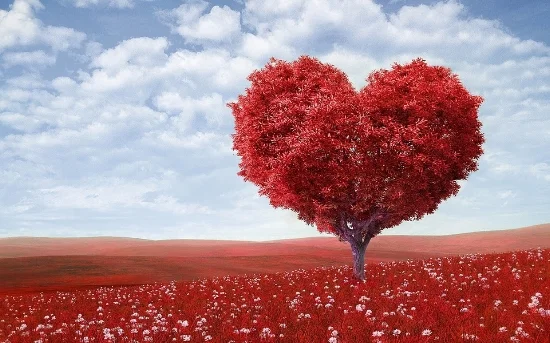 San Valentino 2018.jpg
