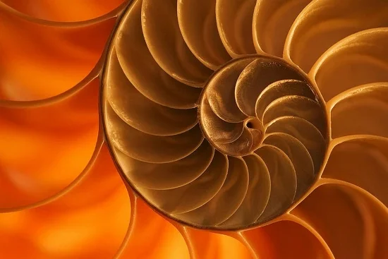 Solfeggio armonico, Canto Gregoriano e LA 432 Hz: l'armonia di Floating Flo