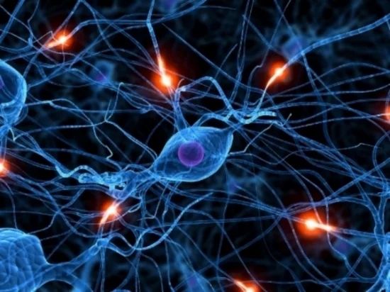 Le lamentele e le chiacchiere superflue danneggiano i neuroni