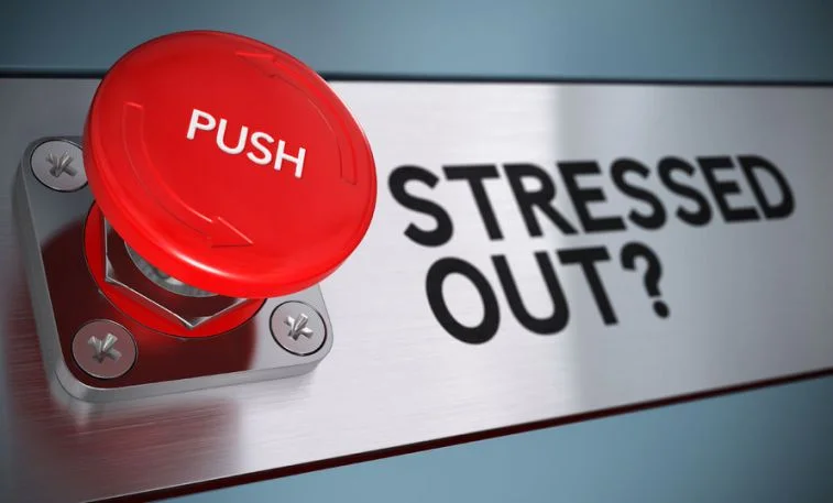 stress-button Floating Flo.jpg