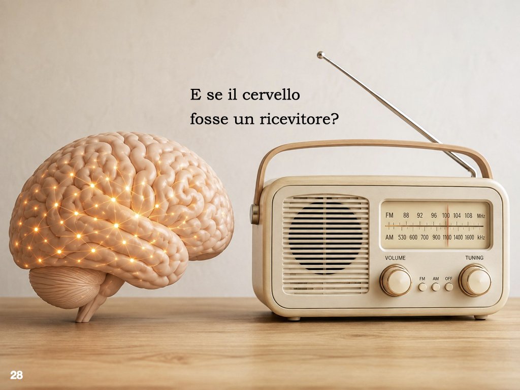 Il paradigma dominante nelle neuroscienze lega la coscienza all’attività del cervello. "Questo è il punto di partenza."
Ma esistono anche modelli che esplorano interpretazioni differenti del rapporto tra cervello e coscienza.
La metafora che mi aiutò