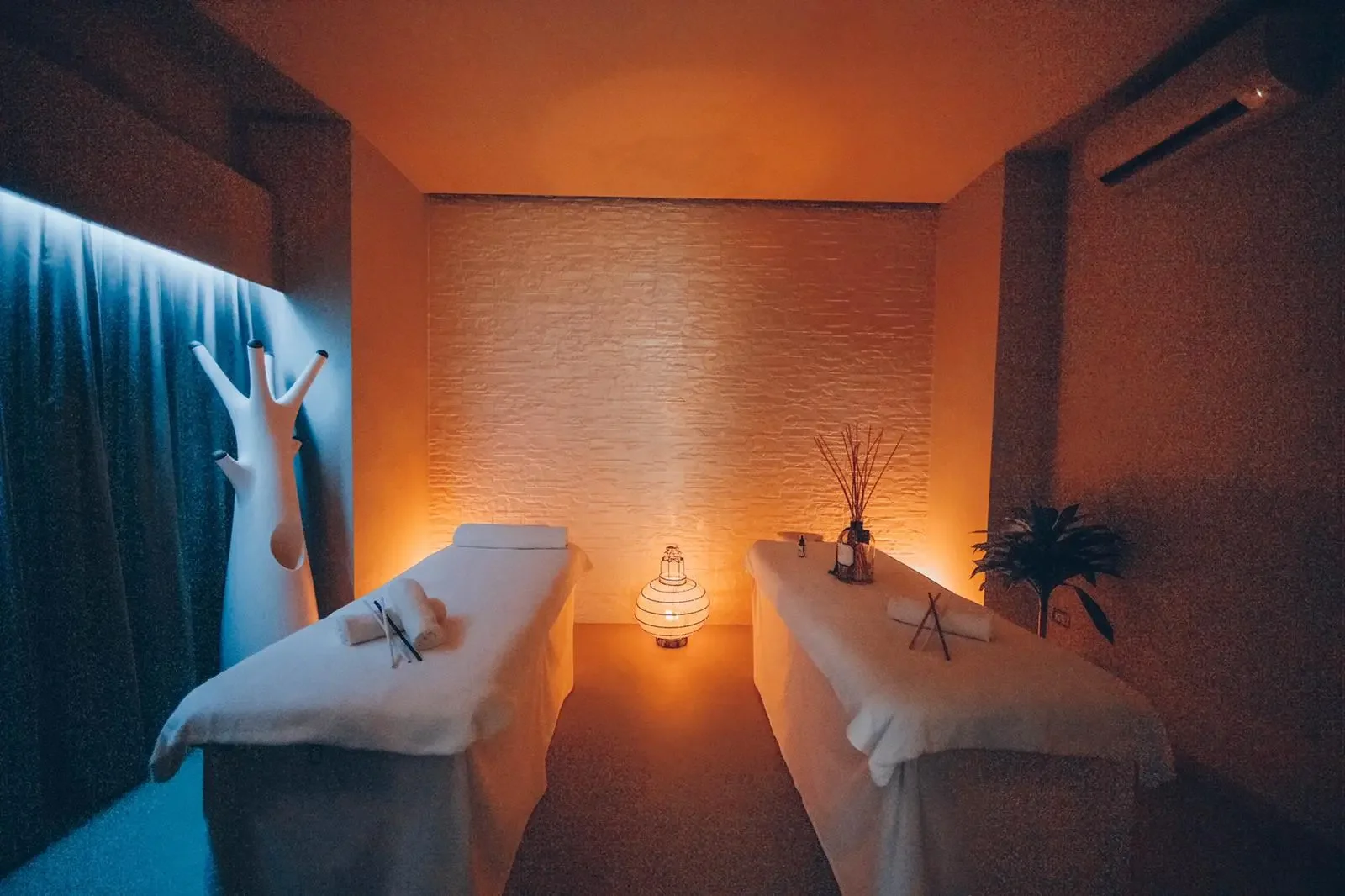 PHOTO-2021-01-16-15-23-27 3.webp