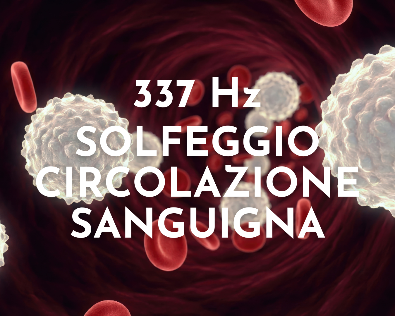 337 Hz Circolazione Sanguigna 08:39
