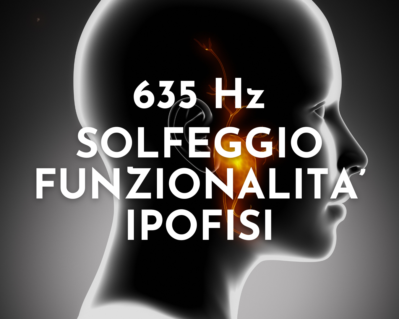 635 Hz Funzionalità Ipofisi 09:39