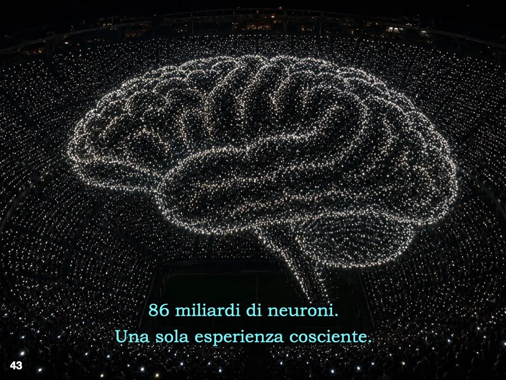 Come fanno miliardi di cellule separate a generare la sensazione di essere un unico “io”?

Forse il punto non è soltanto quanti neuroni possediamo, ma il modo in cui riescono a coordinarsi, integrarsi e sincronizzarsi.

Come migliaia di luci in uno s