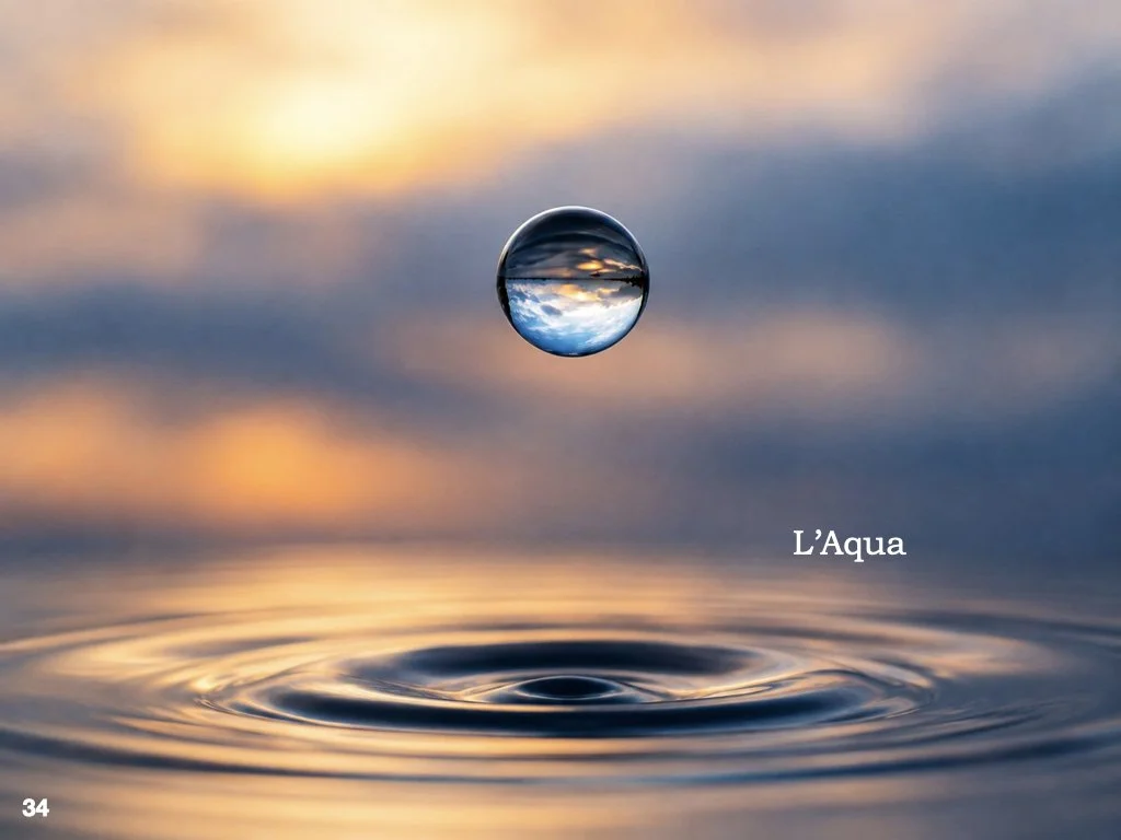 L’acqua potrebbe essere molto più di un semplice solvente biologico.
È l’ambiente in cui avviene gran parte dei processi della vita e interagisce continuamente con le strutture cellulari.
Del Giudice e Preparata proposero che, in determinate condizio