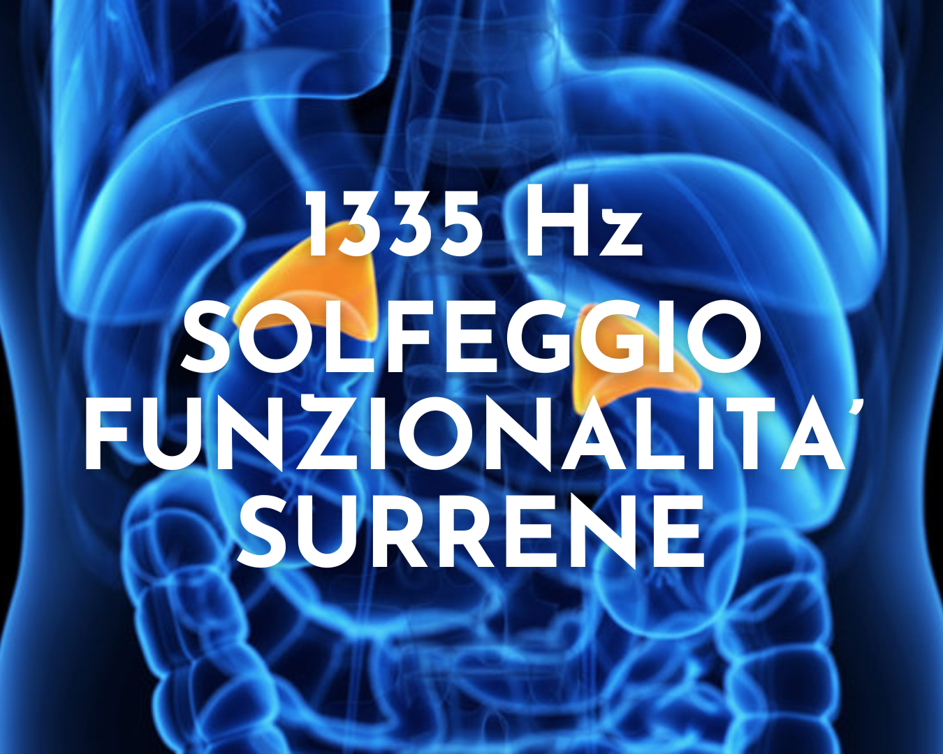 1335 Hz Funzionalità Surrene 07:31