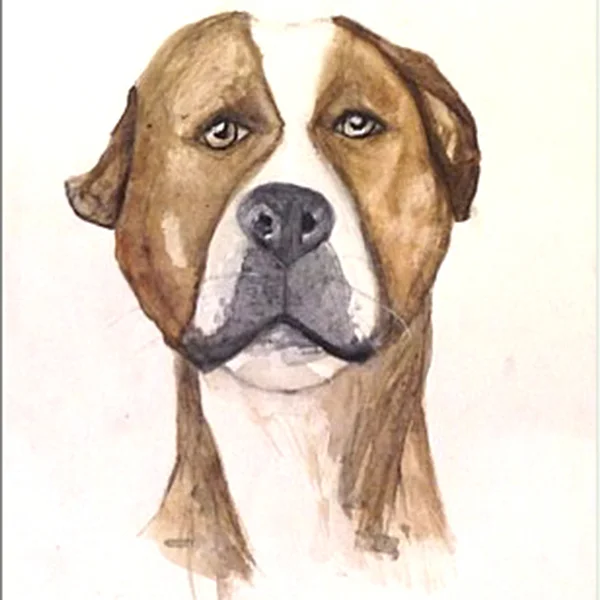 pet-portrait-product-v2.jpg