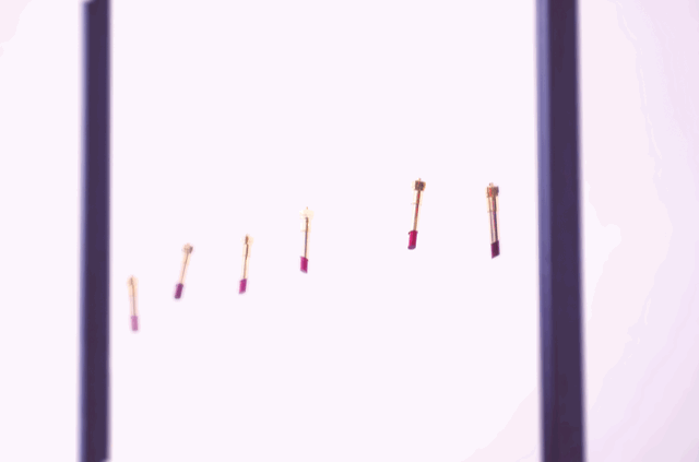 _DSC3948.gif