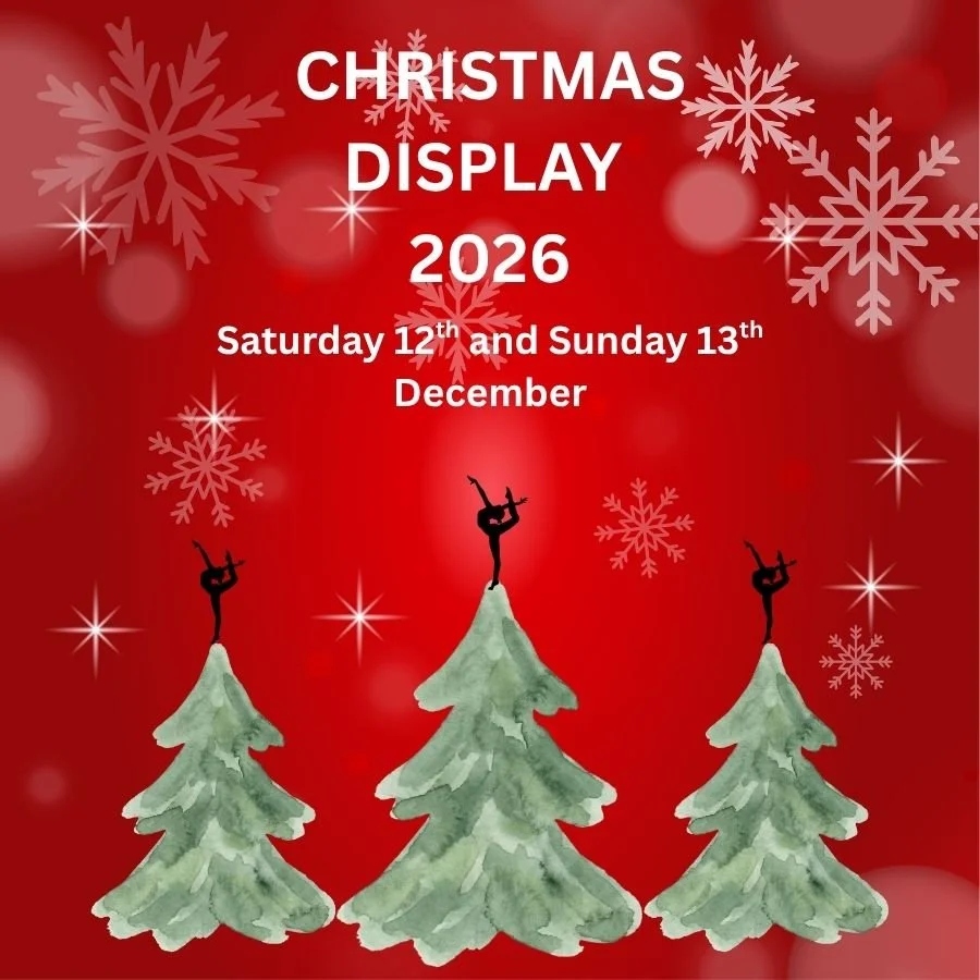 CHRISTMAS DISPLAY 2026.jpg