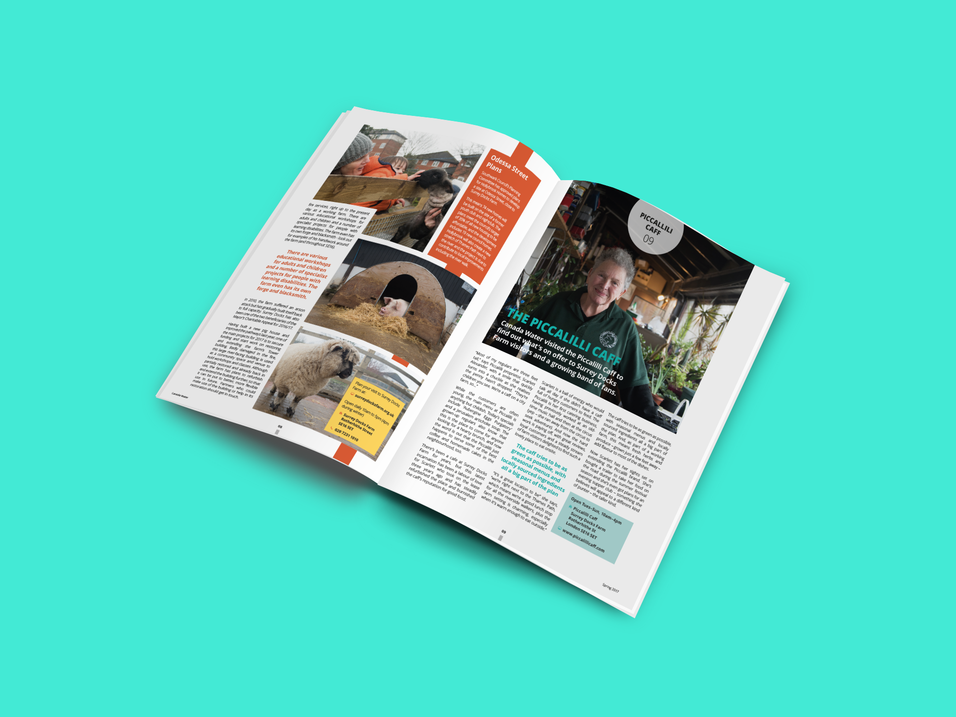 Perspective Spread 2.png