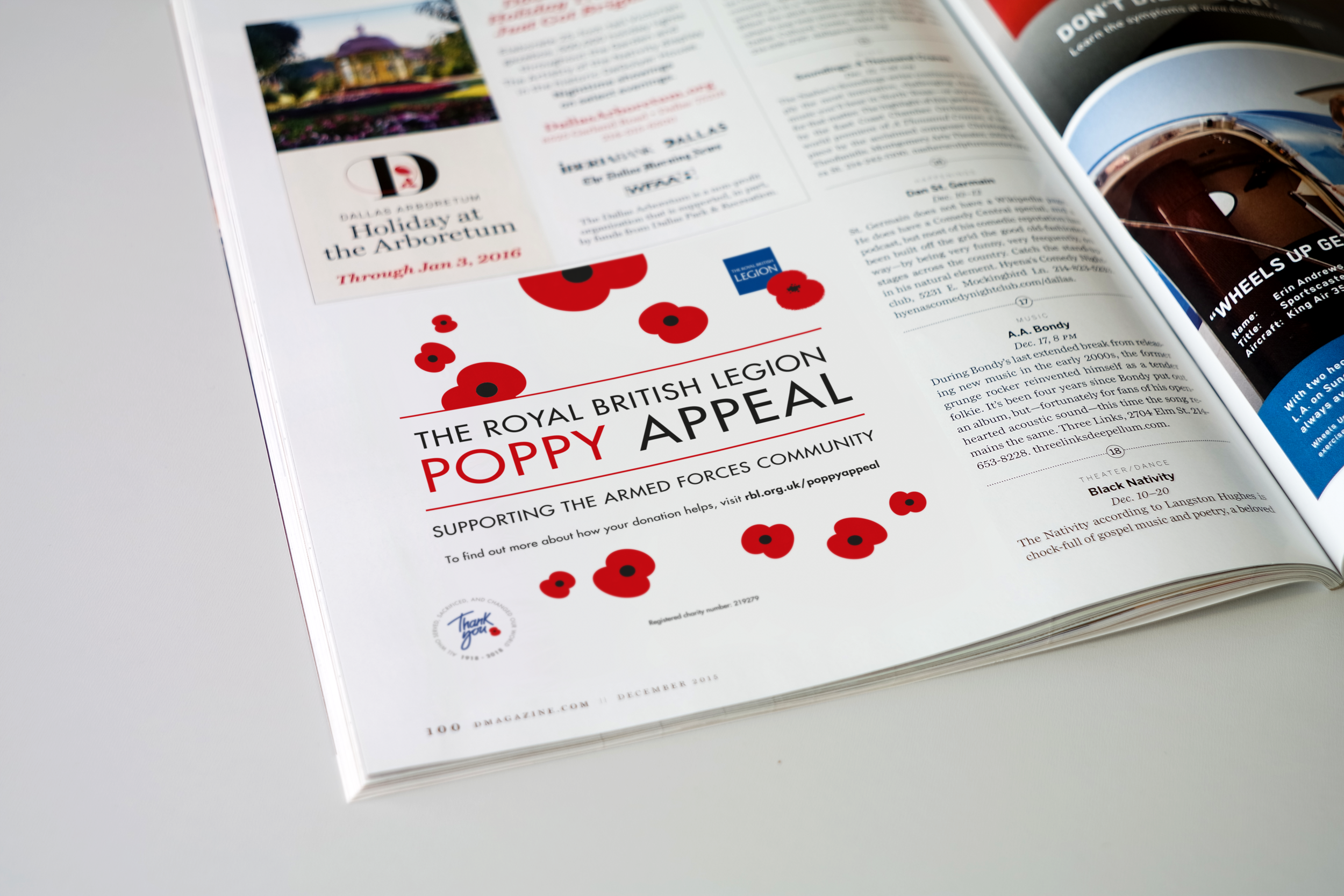 130-02 Plumpton Races Advert Half.png