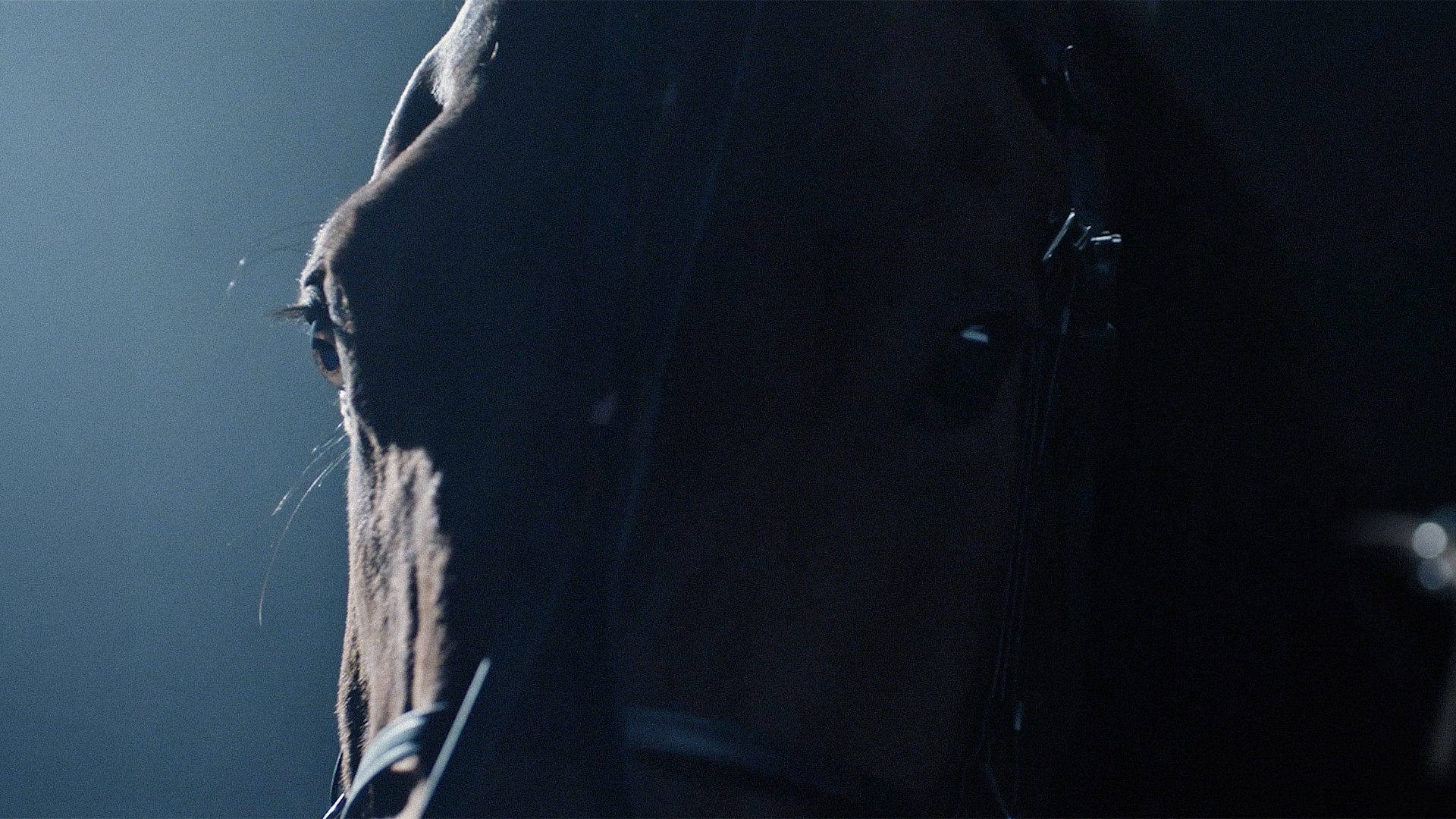 Legolas.bet - TVC