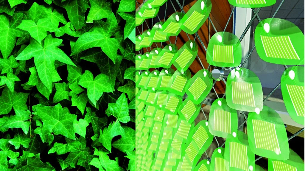 Solar panels design that emulates leaf design