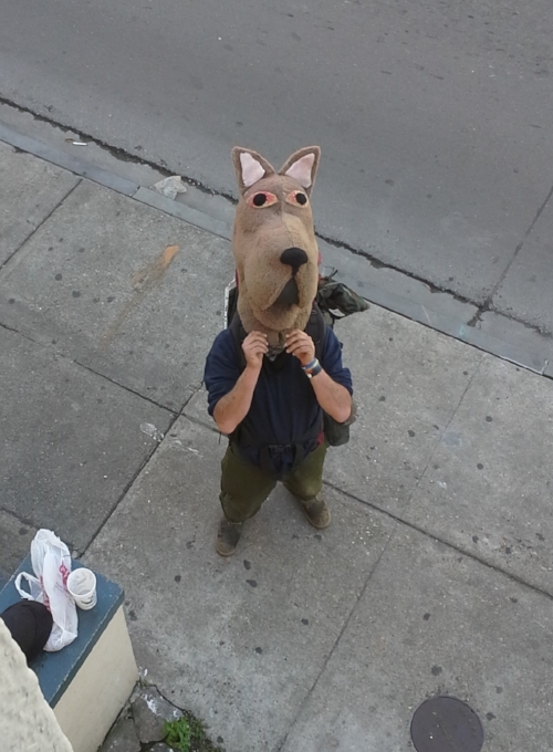 New Orleans passerbye