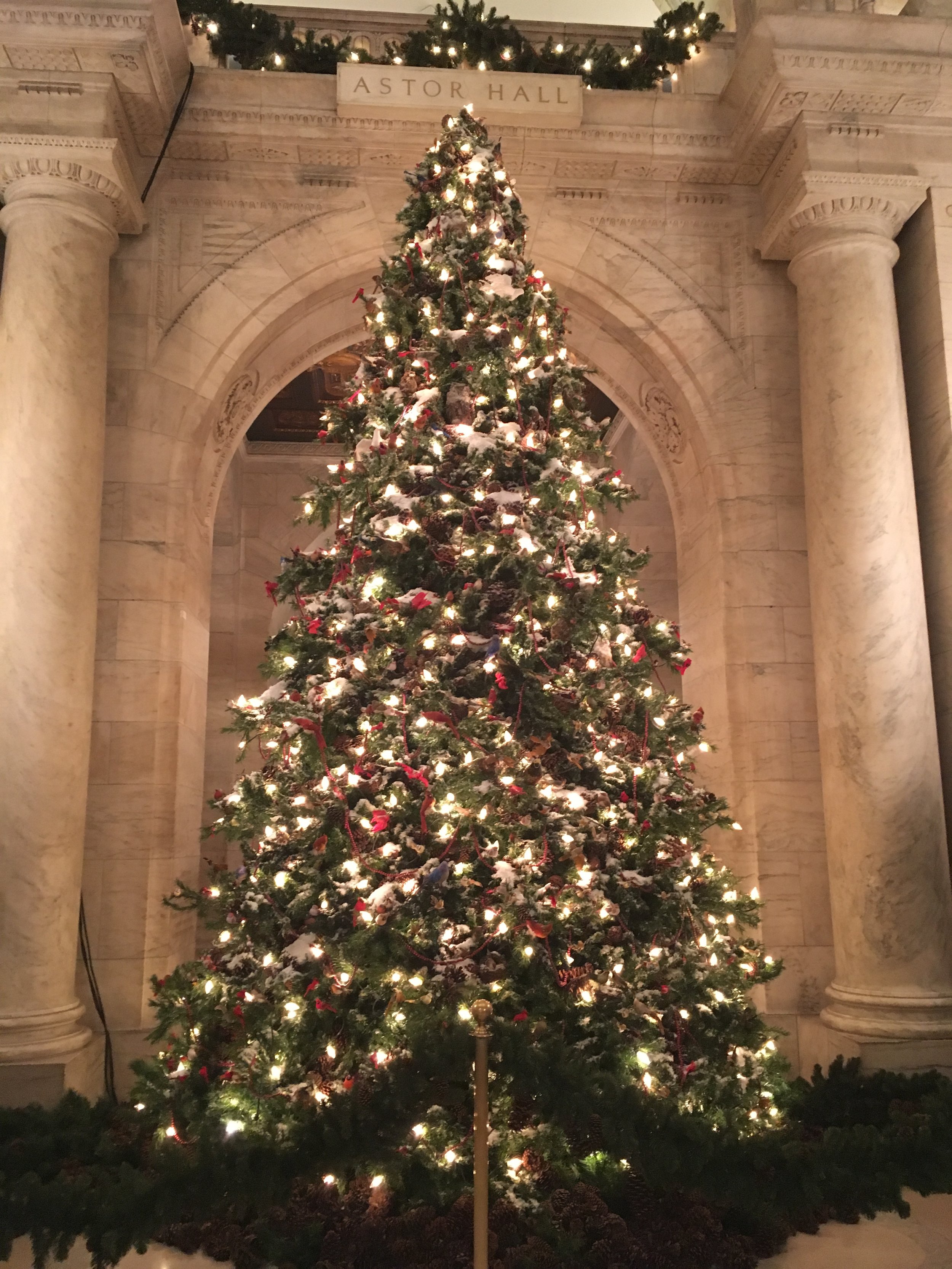 Oh Christmas Tree, at the NYPL