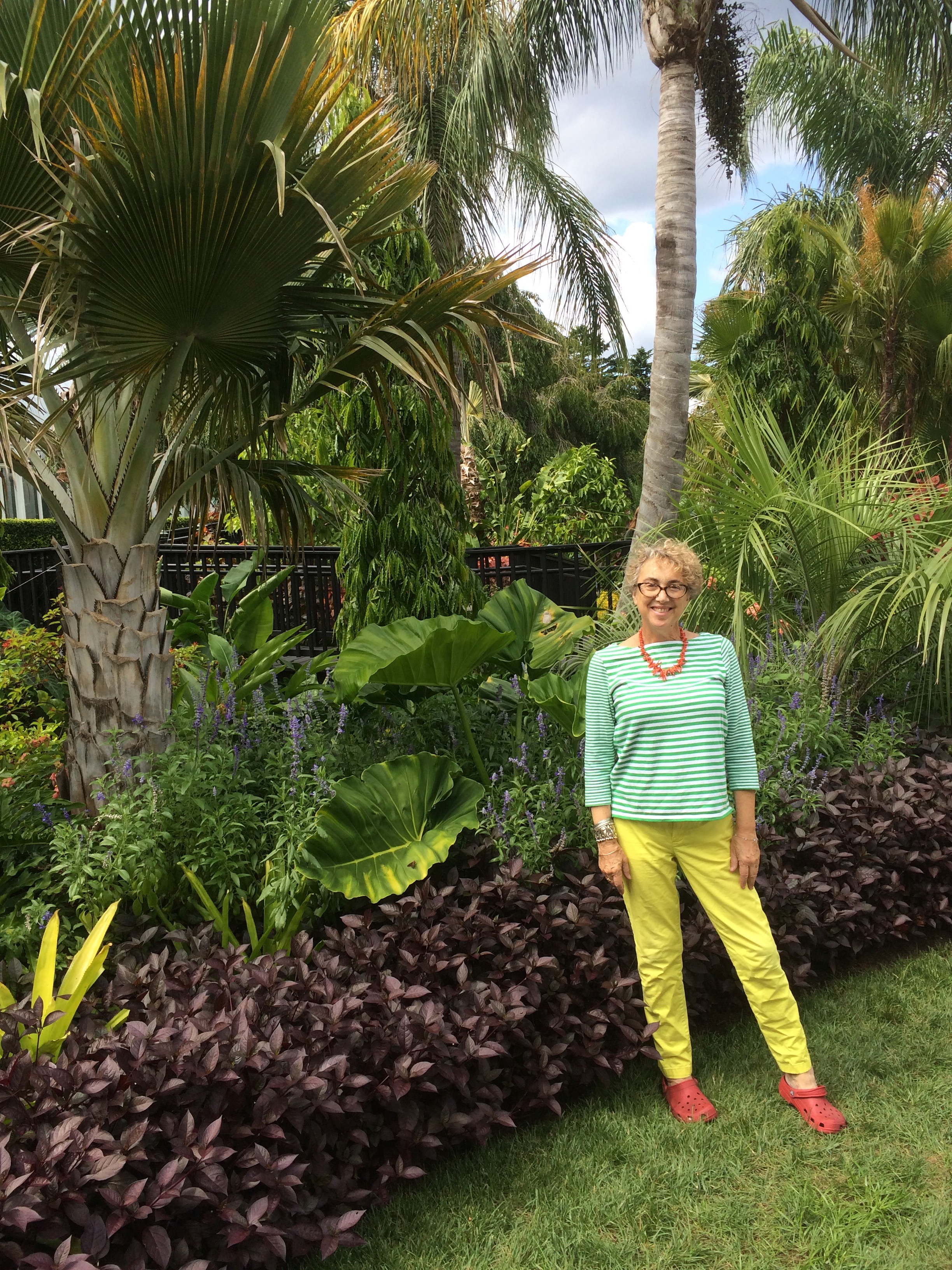 Posing with palms, philodendrons and bromeliads: Burle Marx would like my colors!
