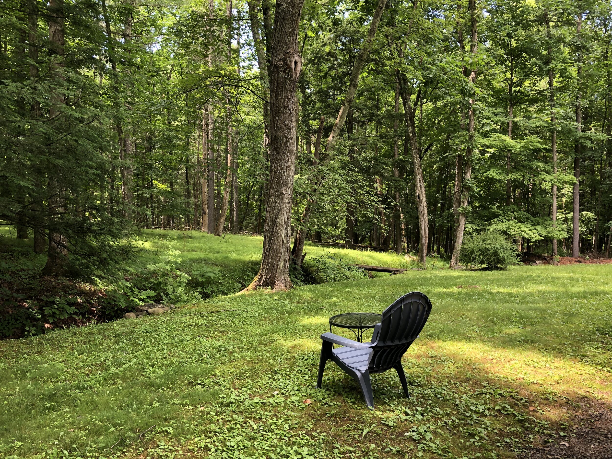 Our backyard in Saugerties...Aaaah