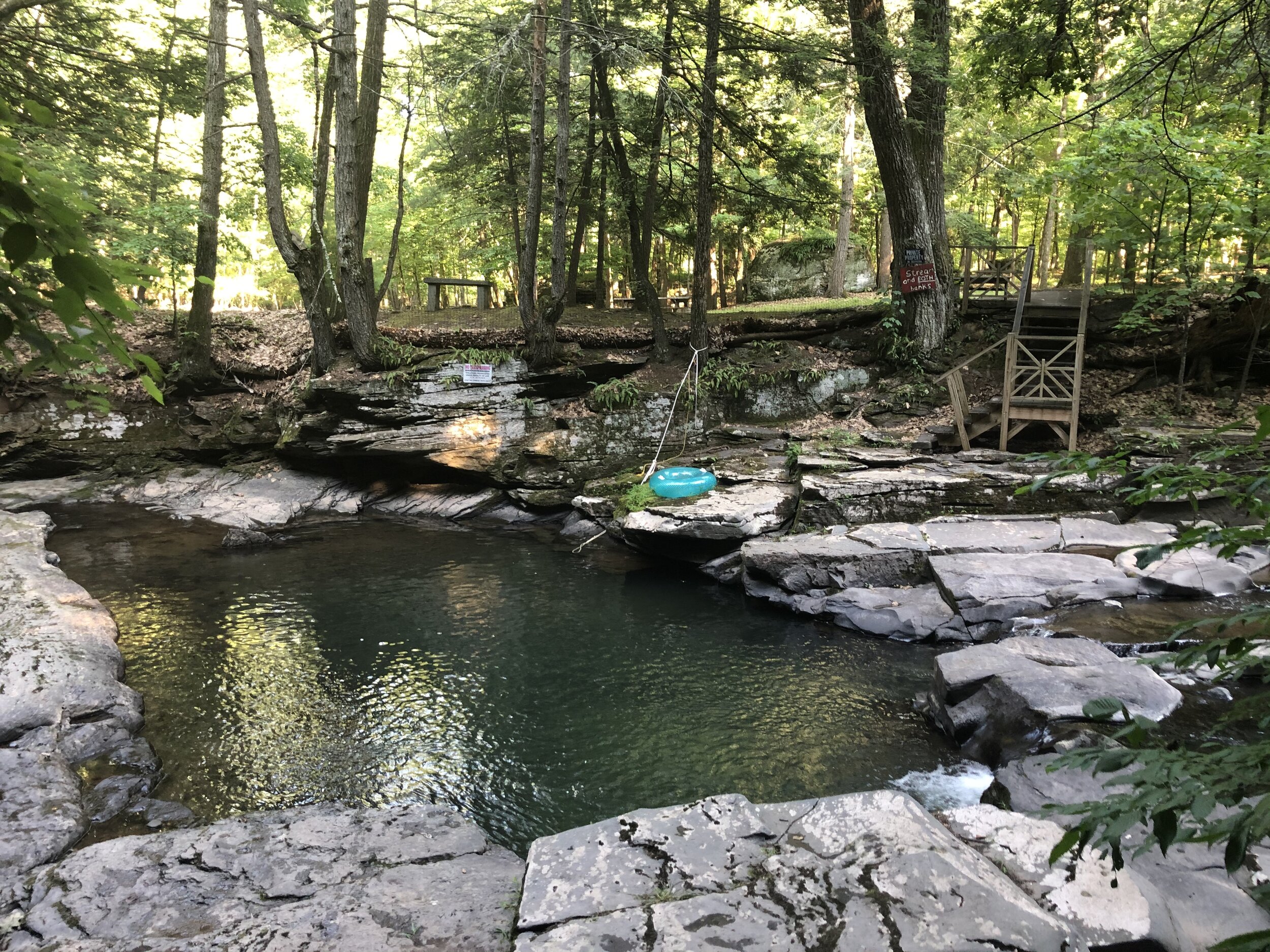 On the Comeau Trail, Woodstock