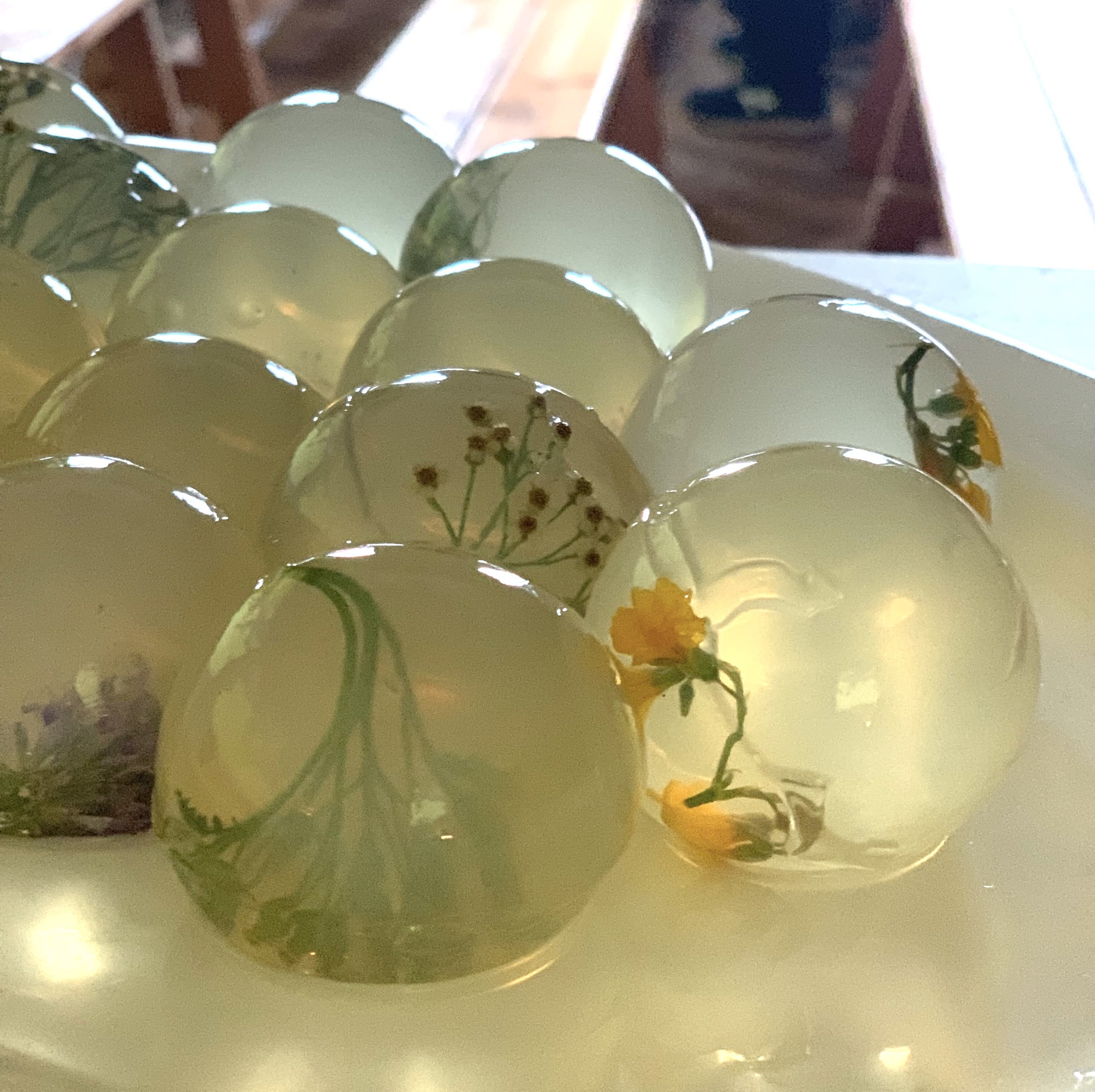 Chrysanthemum tea raindrop cakes featuring edible forage flower suspensions. Photo by Kit Luckey.