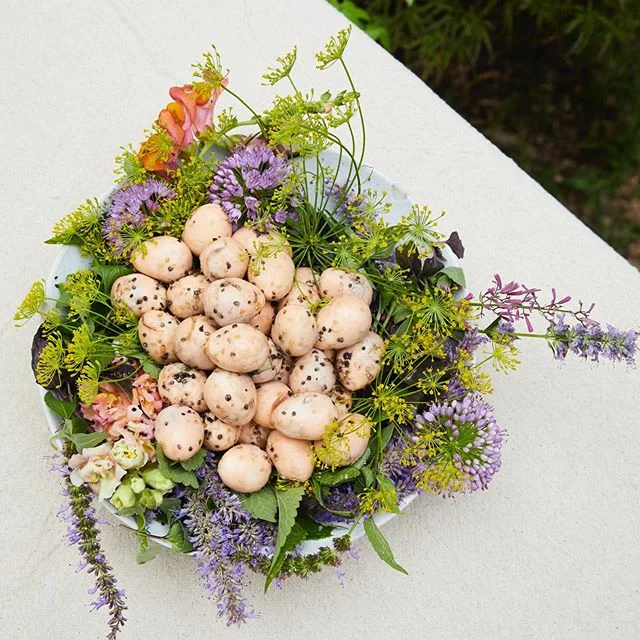 Quail tea eggs with smoked sugar and black salt in a fragrant herb flower nest. Photo by Johnny Fogg.