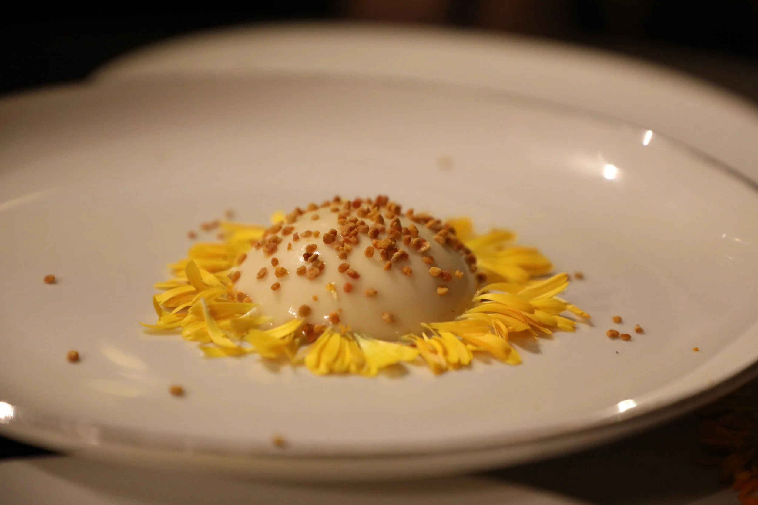  Honey rose mascarpone panna cotta with bee pollen and flora. Photo by Ola Ola Studio. 