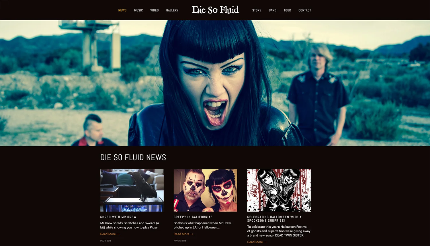Digital marketing & website development for rock band Die So Fluid .