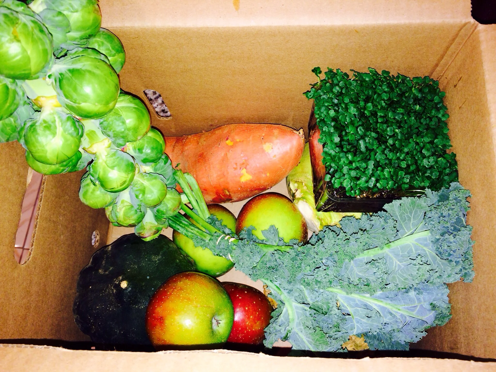 Did you eat your veggies today?