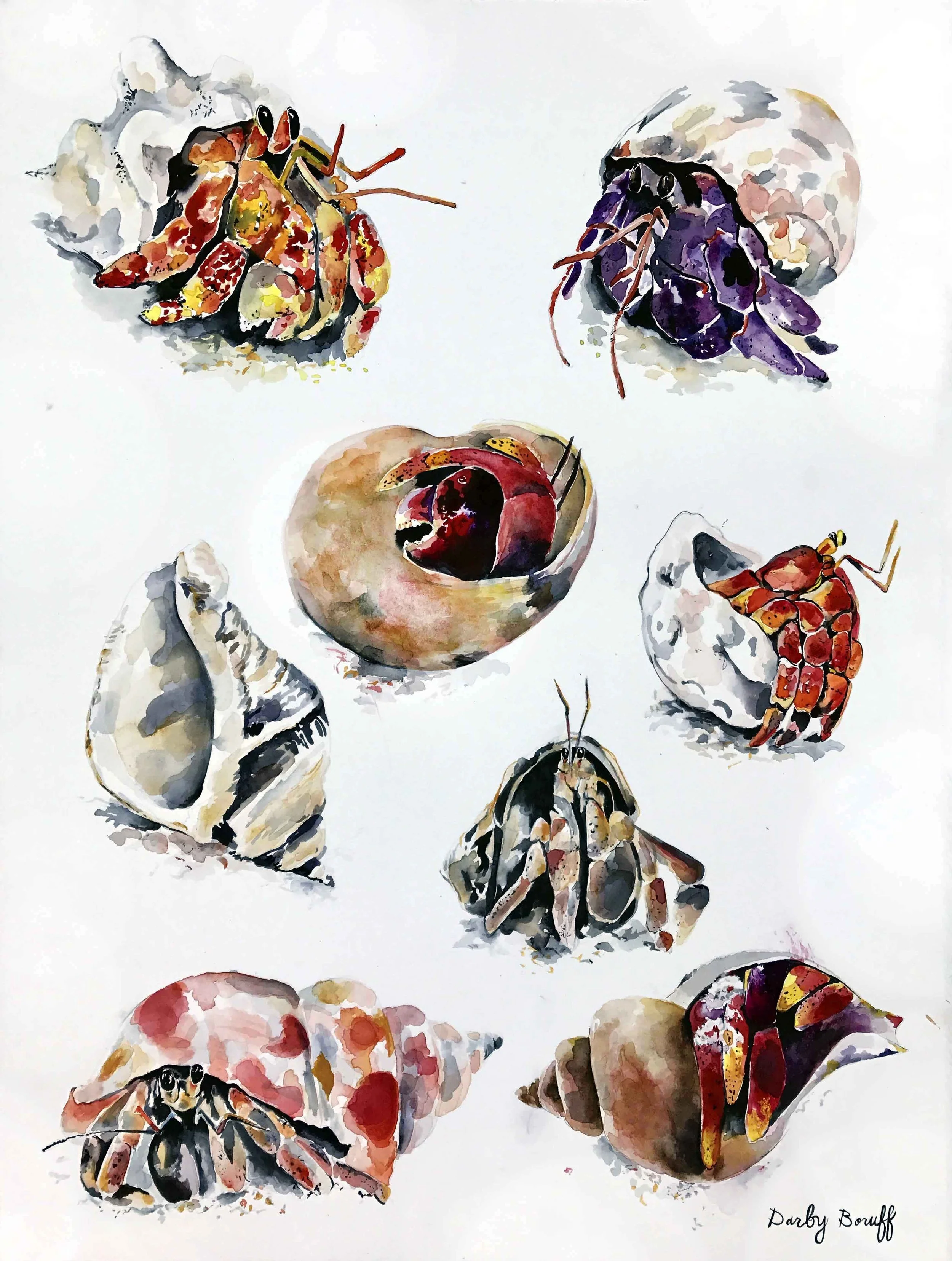 Coastal Gems - Featured in 30th Spring Into Art Exhibition